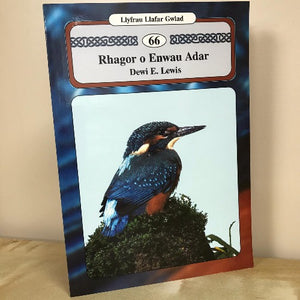 Llyfrau Llafar Gwlad: 66. Rhagor o Enwau Adar - Dewi E Lewis