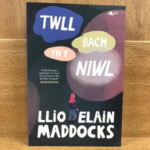 Twll Bach yn y Niwl - Llio Maddocks
