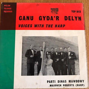 Canu gyda'r Delyn