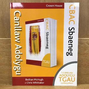 TGAU Sbaeneg: Canllaw Adolygu