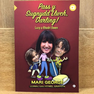 Amdani (Lefel Mynediad) : Pass y Sugnydd Llwch, Darling!