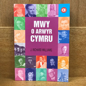 Mwy o Arwyr Cymru - amdani - welsh bookshop -