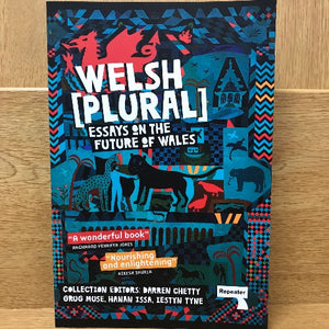 Welsh (Plural) - Essays on the Future of Wales