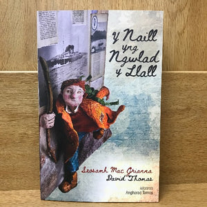 Y Naill yng Ngwlad y Llall - gol. Angharad Tomos