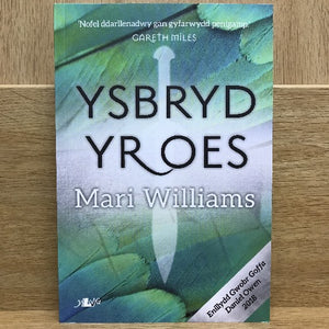 Ysbryd yr Oes - Mari Williams