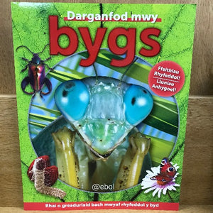 Bygs