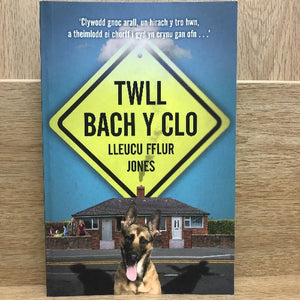 Twll Bach y Clo - Lleucu Fflur Jones