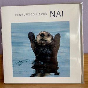 Nai - Nephew