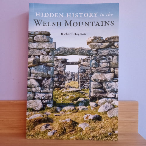 Hidden History in the Mountains of Wales - Richard Heyman