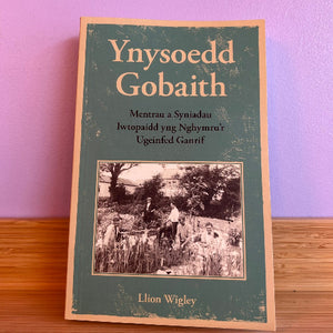 Book titled 'Ynysoedd Gobaith' with a black and white photo on a wooden surface and purple wall background