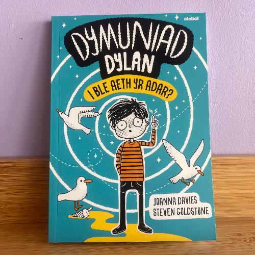 Dymuniad Dylan - Joanna Davies