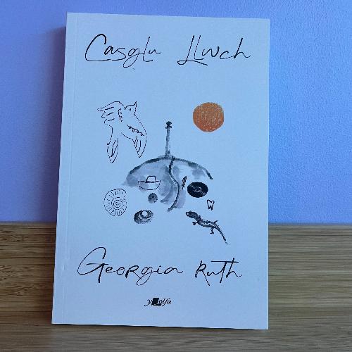 Casglu Llwch - Georgia Ruth