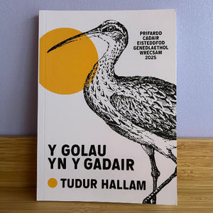 Book with a bird illustration and text on a wooden surface and light blue wall background