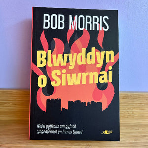 Blwyddyn o Siwrnai - Bob Morris