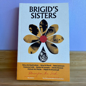 Brigid's Sisters - Stories from the Irish