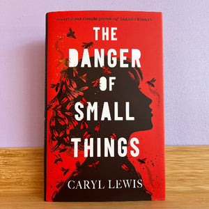 Book titled 'The Danger of Small Things' by Caryl Lewis on a wooden surface with a purple wall background.