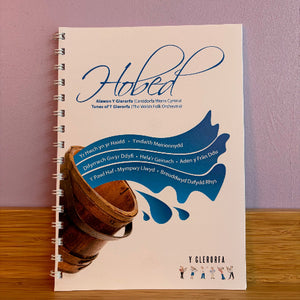 Notebook with a wooden horn design and blue abstract elements on a pink wall background