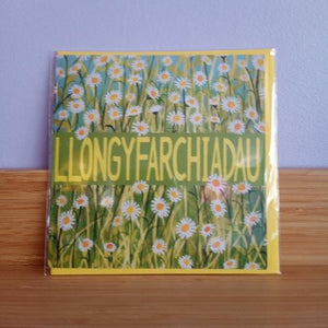 Llongyfarchiadau - Congratulations