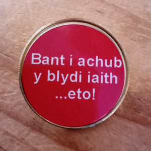 Bathodynnau Gwallgo