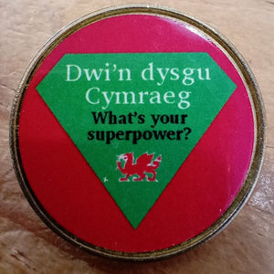 Bathodynnau Gwallgo