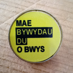 Bathodynnau Gwallgo