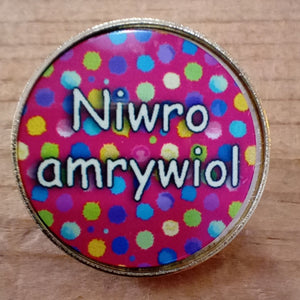 Bathodynnau Gwallgo