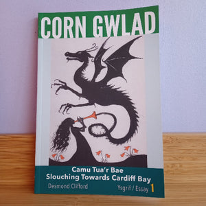 Book cover with a dragon illustration and text on a wooden surface