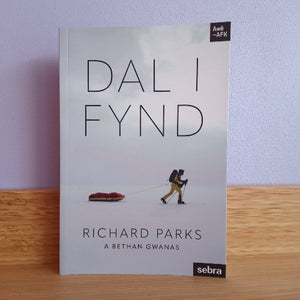 Book titled 'DAL I FYND' by Richard Parks on a wooden surface with a light purple wall background.