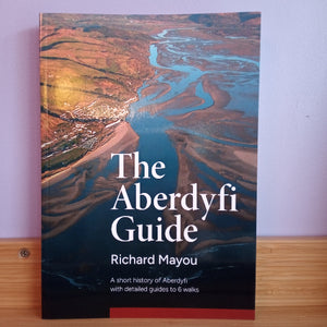 Book titled 'The Aberdyfi Guide' by Richard Mayou on a wooden surface with a light purple background