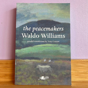 Book titled 'the peacemakers' by Waldo Williams with a landscape illustration on the cover, placed against a light purple wall.