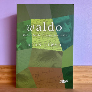 Book cover of 'waldo' by Alan Llwyd with green and brown abstract design on a purple background