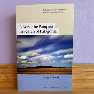 Book titled 'Beyond the Pampas: In Search of Patagonia' by Imogen Herrad on a wooden surface with a purple background.