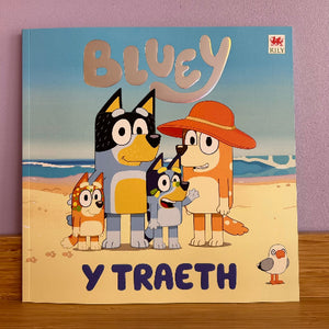 Children's book titled 'Bluey' on a beach with cartoon characters