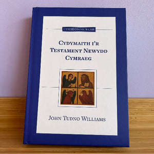 Book titled 'Cydymaith i'r Testament Newydd Cymraeg' by John Tudno Williams on a wooden surface with a light purple wall background.