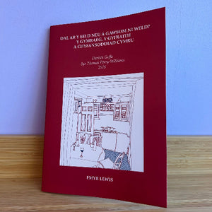 A book titled 'Dal Ar Y Seld Neu A Gawsom Ni Weld? Y Gymrag, Y Gyfraith A Chyfansoddiad Cymru', with a red cover and a white line drawing of a kitchen, photographed standing on a wooden surface against a light blue wall.