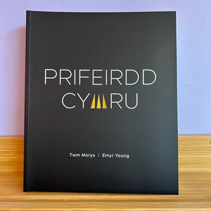 Prifeirdd Cymru - Twm Morys ac Emyr Young