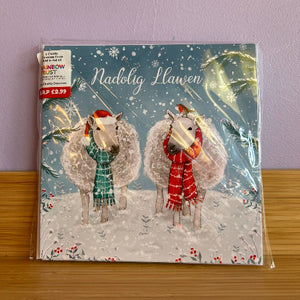 A packaged Welsh Christmas card featuring two sheep dressed in festive scarves and hats standing in a snowy landscape under a starry sky. 