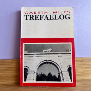 Gareth Miles (ail-law)