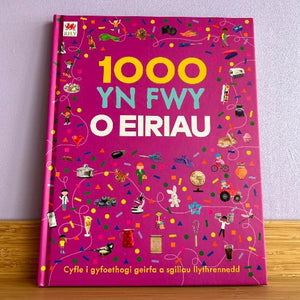 1000 yn Fwy o Eiriau