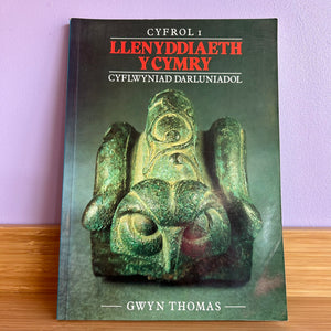 Beirniadaeth Lenyddol / Literary Criticism Ff-S