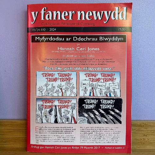 Y Faner Newydd: Gaeaf 2024 (Rhifyn 110)