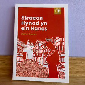 Straeon Hynod yn ein Hanes - Melfyn Hopkins