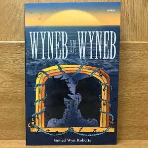 Wyneb yn Wyneb - Sioned Wyn Roberts