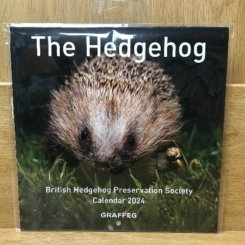 Calendr 2024 - The Hedgehog