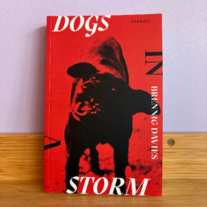 The book 'Dogs in Storm' by Brenning Davies, featuring a bold red and black cover with a graphic dog silhouette, standing on a wooden surface against a light wall.