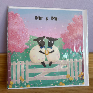 Mr a Mr