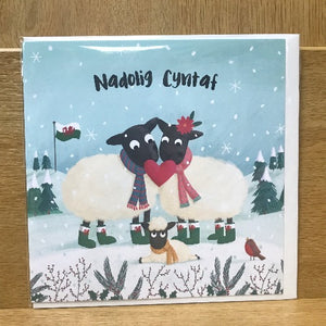 Nadolig Cyntaf - First Christmas