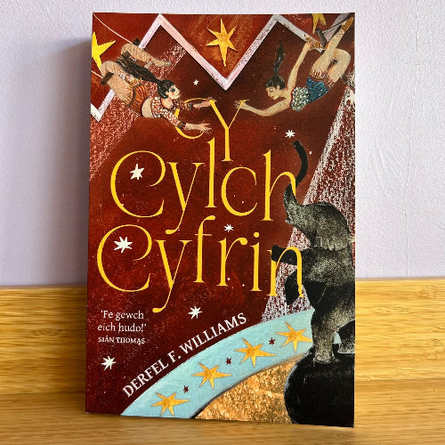 Y Cylch Cyfrin - Derfel F Williams