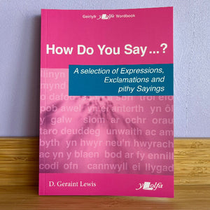 Book titled 'How Do You Say ...?' on a wooden surface with a light blue background