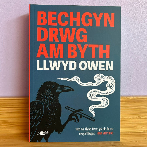 Bechgyn Drwg am Byth - Llwyd Owen